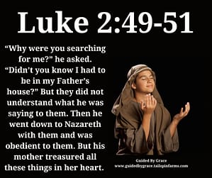 Luke 249 (1)
