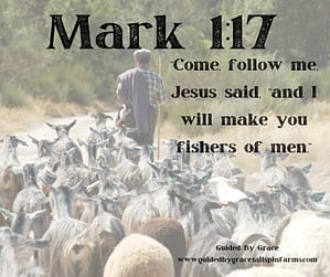 Mark 117 “Come, follow me,” Jesus said, “and I will make you fishers of men.”