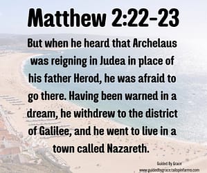 Matthew 222-23