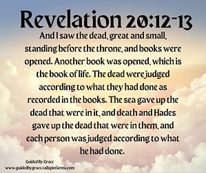 Revelation 2012-13