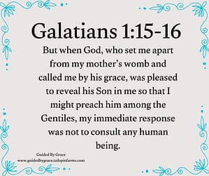 Galatians 115-16