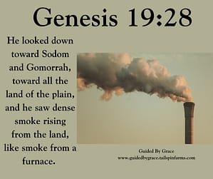 Genesis 1928
