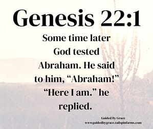 Genesis 221