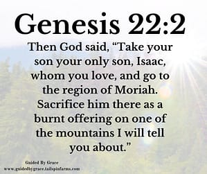 Genesis 222