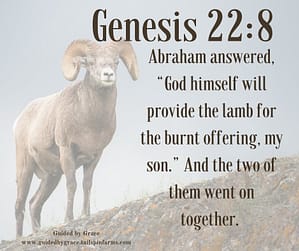 Genesis 228