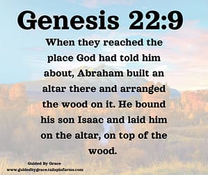 Genesis 229