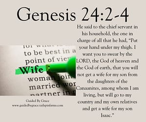Genesis 243