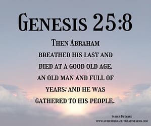 Genesis 258 (1)