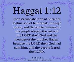 Haggai 112