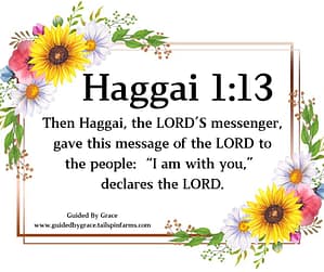 Haggai 113
