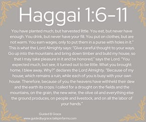 Haggai 16-11