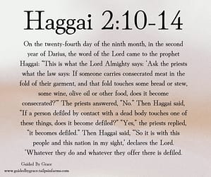 Haggai 210-14