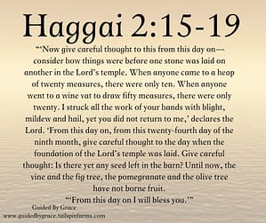 Haggai 215-19