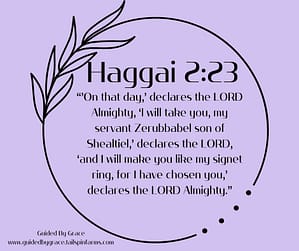 Haggai 223