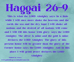 Haggai 26-9