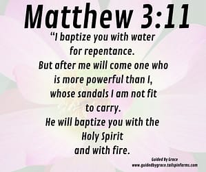Matthew 311