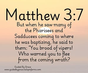 Matthew 37