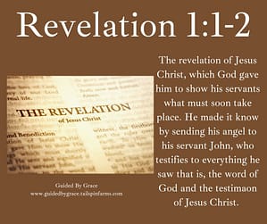 Revelation 11