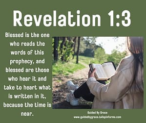 Revelation 13