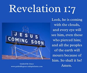 Revelation 17