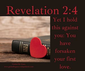 Revelation 24