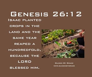 Genesis 2612