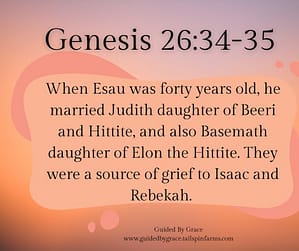 Genesis 2634-35
