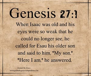 Genesis 271