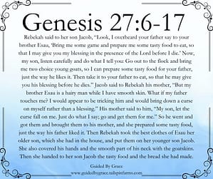Genesis 276-17