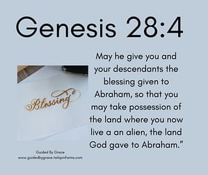 Genesis 284