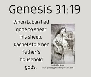 Genesis 319