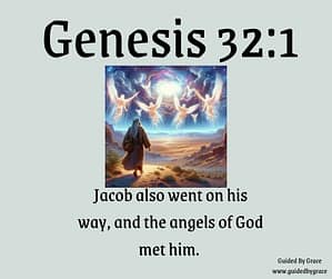 Genesis 321