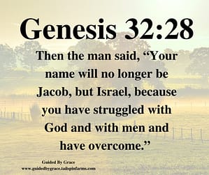 Genesis 3228