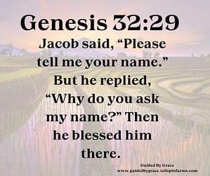 Genesis 3229