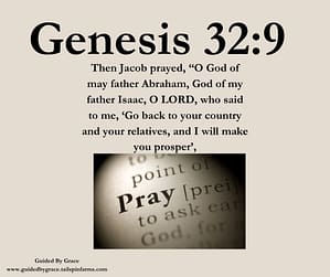 Genesis 329