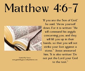 Matthew 46