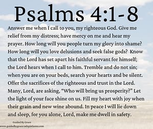 Psalms 41-8 (1)