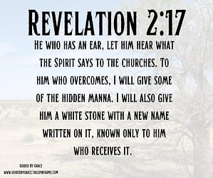 Revelation 217