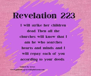 Revelation 223