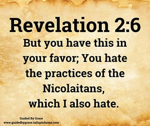 Revelation 26