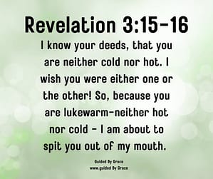 Revelation 315-16