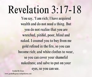 Revelation 317-18