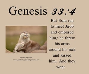 Genesis 334