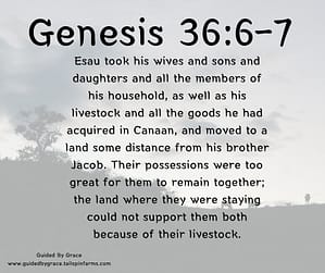 Genesis 366-7