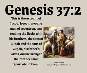 Genesis 372