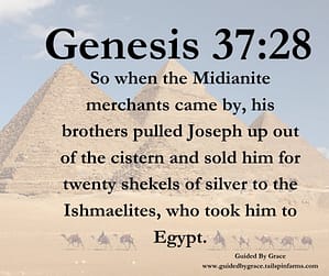 Genesis 3728