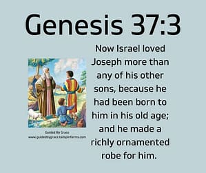 Genesis 373
