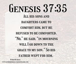 Genesis 3735