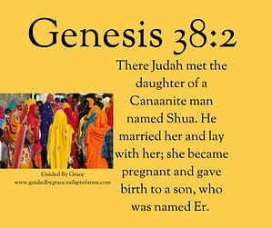 Genesis 382