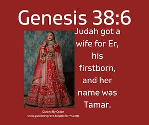 Genesis 386
